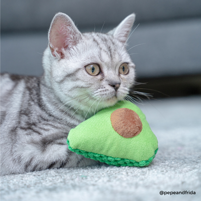 Avocado Spielzeug Fritzi - Mimi & Filou