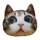 3D Kissen mit Katzenmotiv Pumba Garfield - Mimi & Filou