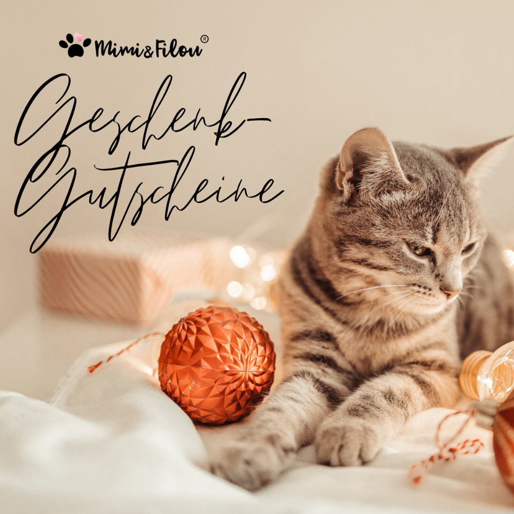 Geschenkgutschein